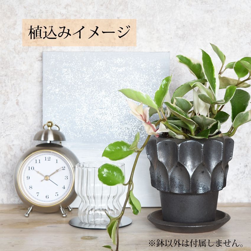 たけろう ポット シロサビ ちぎり 陶器 鉢 Sサイズ