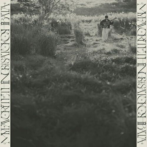 1st プレス 柴田聡子 Your Favorite Things レコード Your Favorite Things (再プレス/アナログレコード) : 柴田聡子