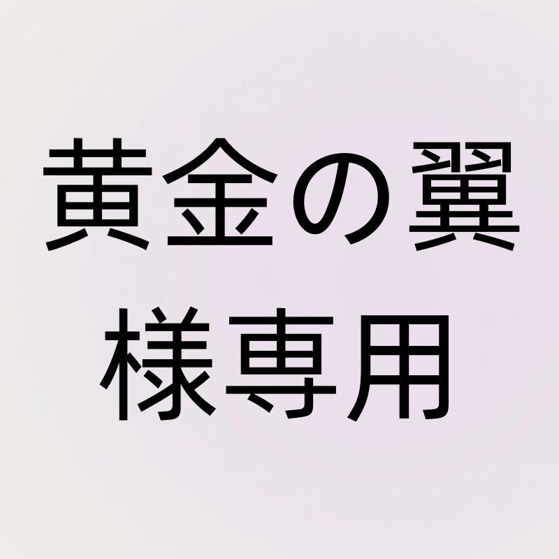 黄金の翼様専用