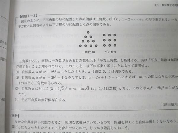 鉄緑会2023年度高2数学III内部B 夏期内部講習 鉄緑会 高2数学 数III内部B テキストセット 状態良 2023 夏期