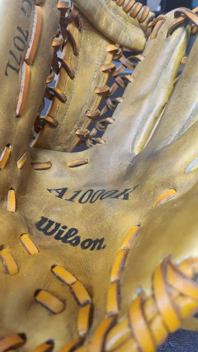 Wilson