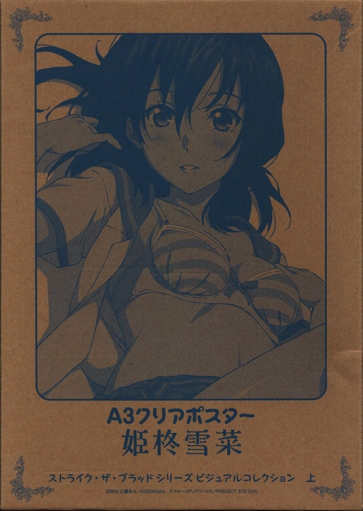 ストライク・ザ・ブラッド ビジュアルコレクション 上 Amazon.co.jp: ストライク・ザ・ブラッド シリーズ ビジュアル