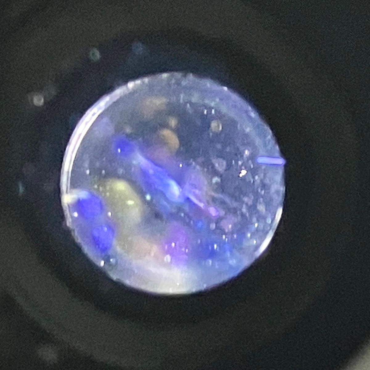 富士フイルム