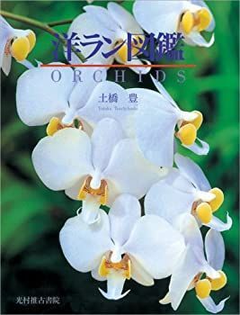 【豊富な，得価】 【中古】 洋ラン図鑑 その他