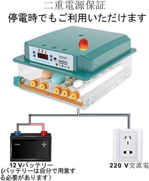 アヒル