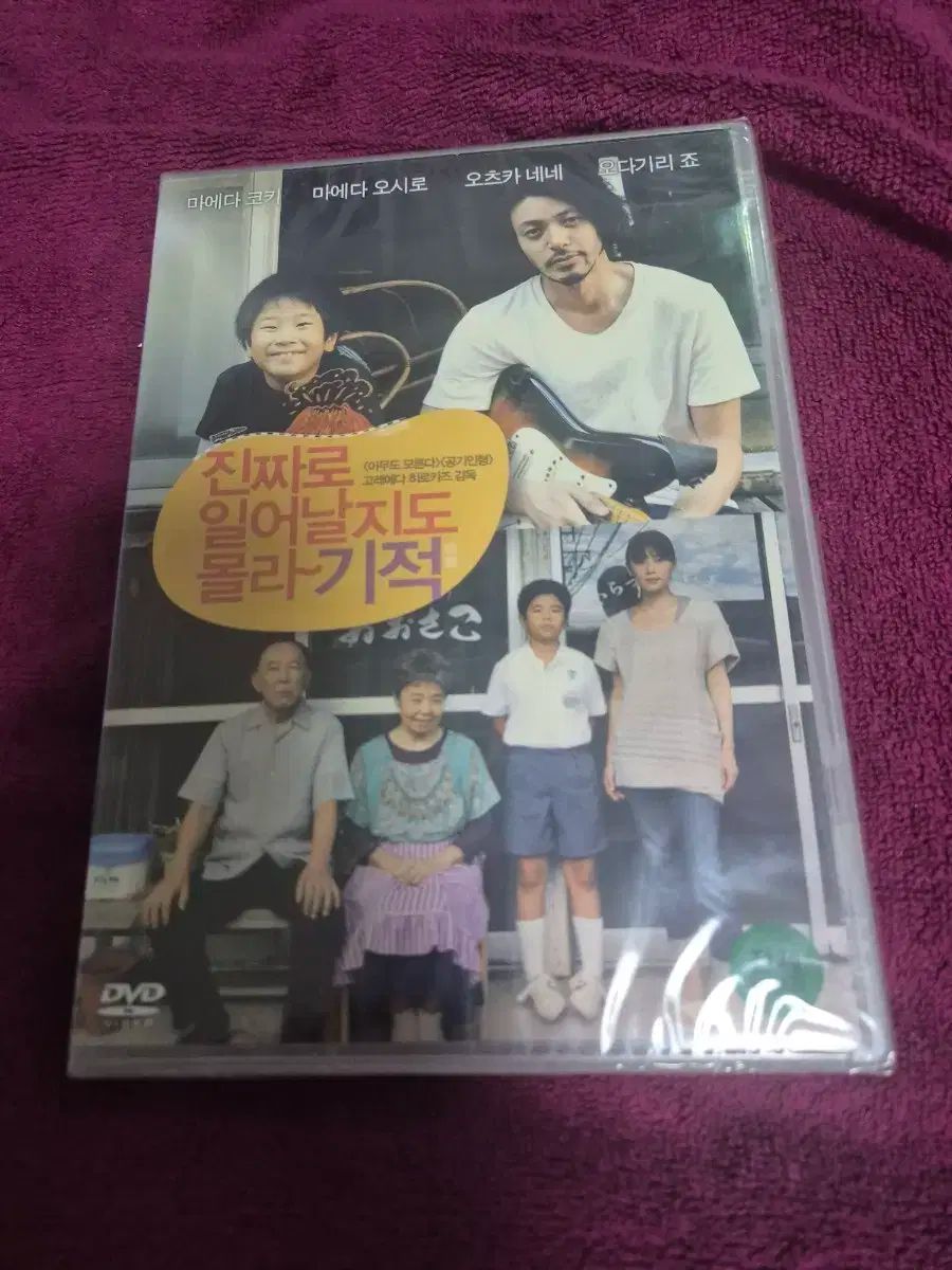 （ dvd ) 本当に 多分それは起こるでしょう 奇跡