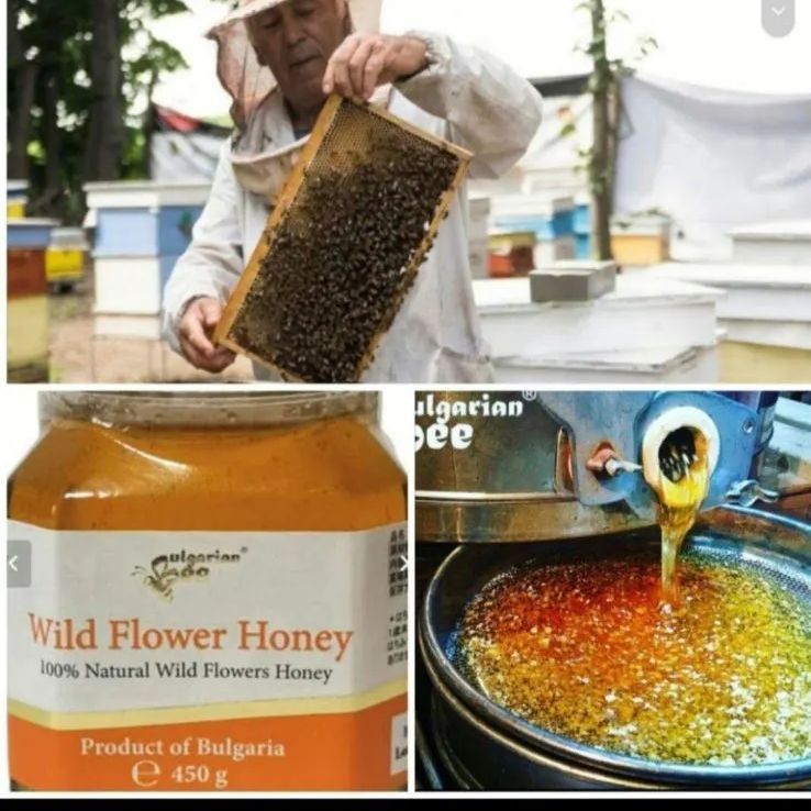 🍯3.6 kg ワイルドフラワー蜂蜜ブルガリア産天然非加熱生（450gｘ8個