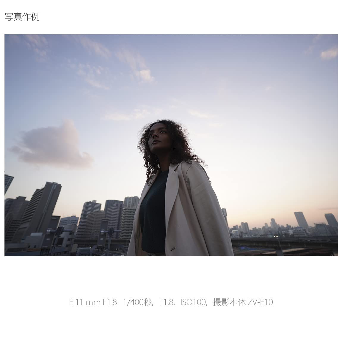 Eマウント 用
