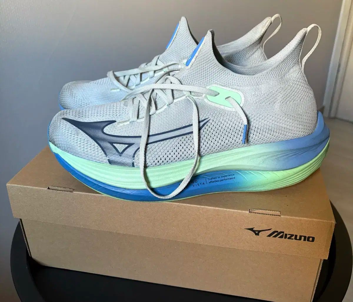 ミズノ NEO VISTA ランニングシューズ 285