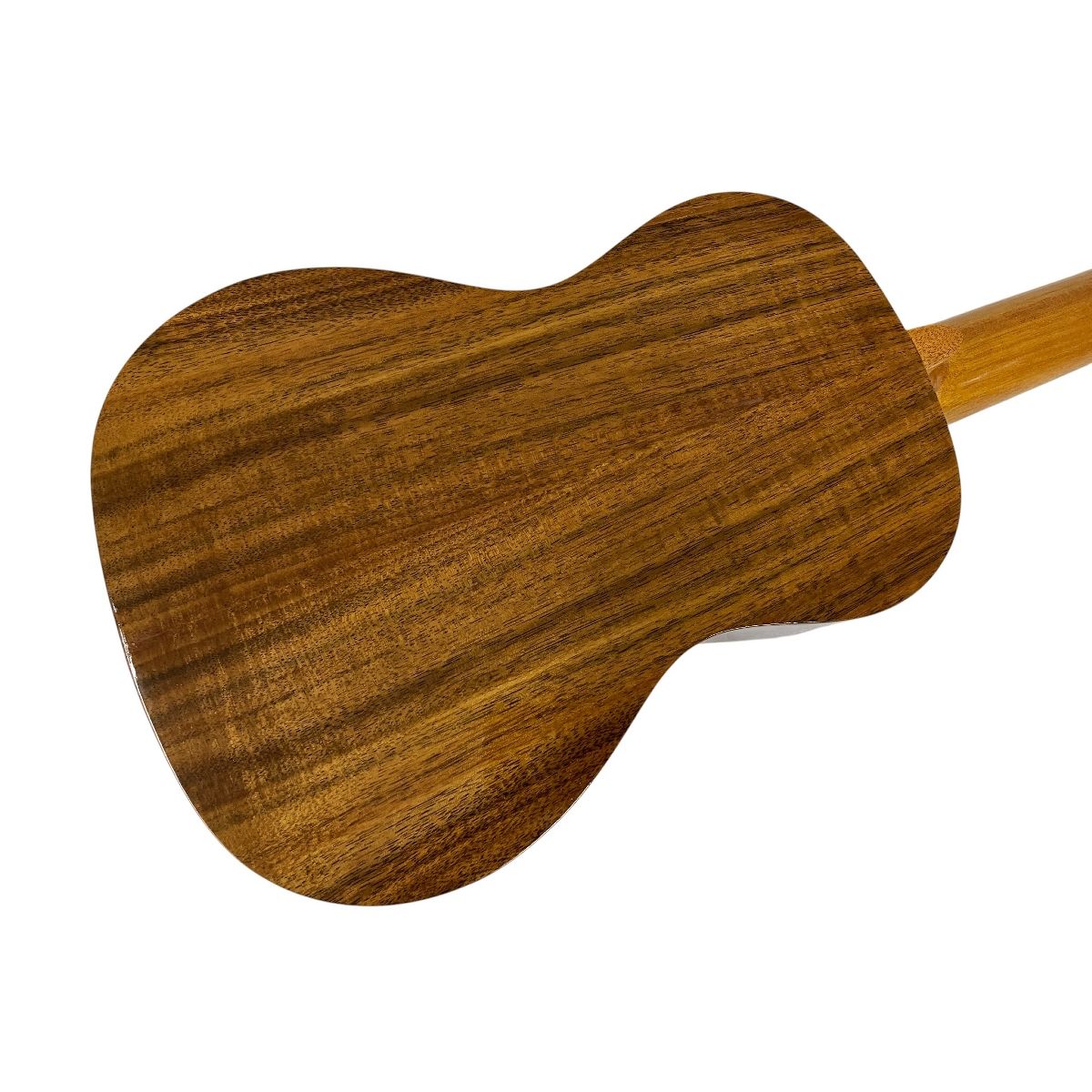 コア材 ケース付属