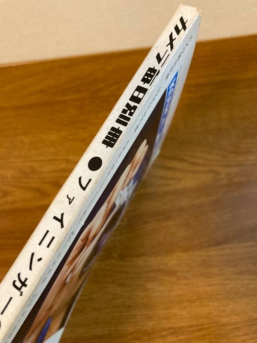 カメラ毎日別冊 ファイニンガーの完全なる写真】毎日新聞 1969年