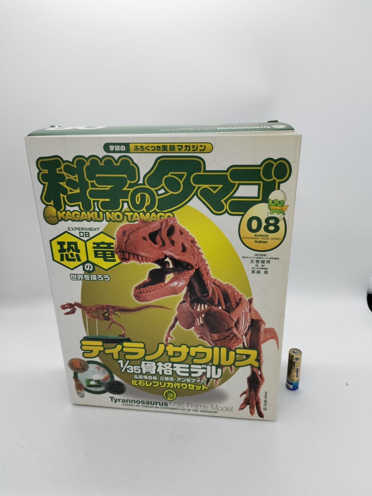 化石 20種 セット [Z662] 恐竜の歯 ティラノサウルス アンモナイト Amazon | SCIENCE 恐竜の化石「モササウルスの歯 化石 約20mm