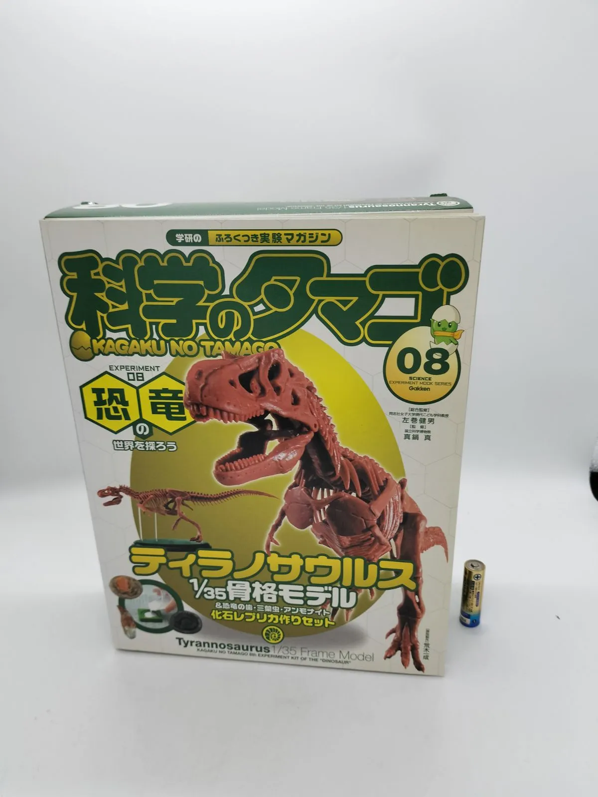 2025年最新】ハドロサウルス 化石の人気アイテム - メルカリ