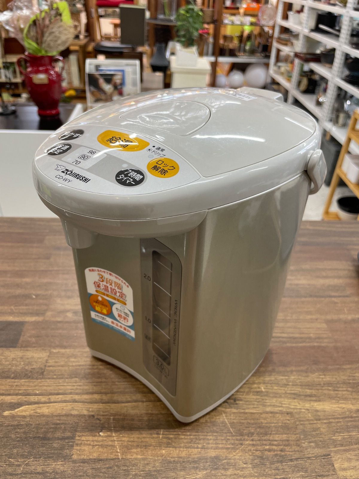 美形　大型　エバーフレッシュ　曲がり仕立て　10号　陶器鉢　植え込み発送 美形 大型 エバーフレッシュ 曲がり仕立て 10号 陶器鉢 植え込み発送