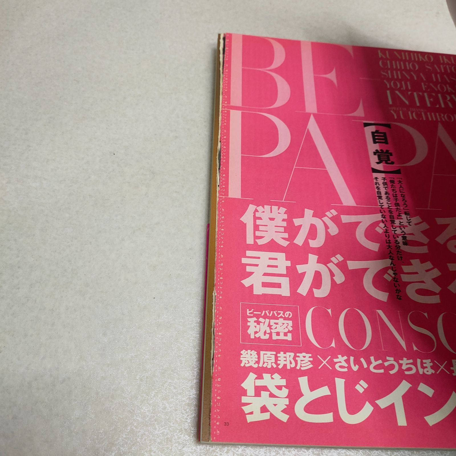 薔薇の全貌 少女革命ウテナart collection イラスト集 希少 ポスター付