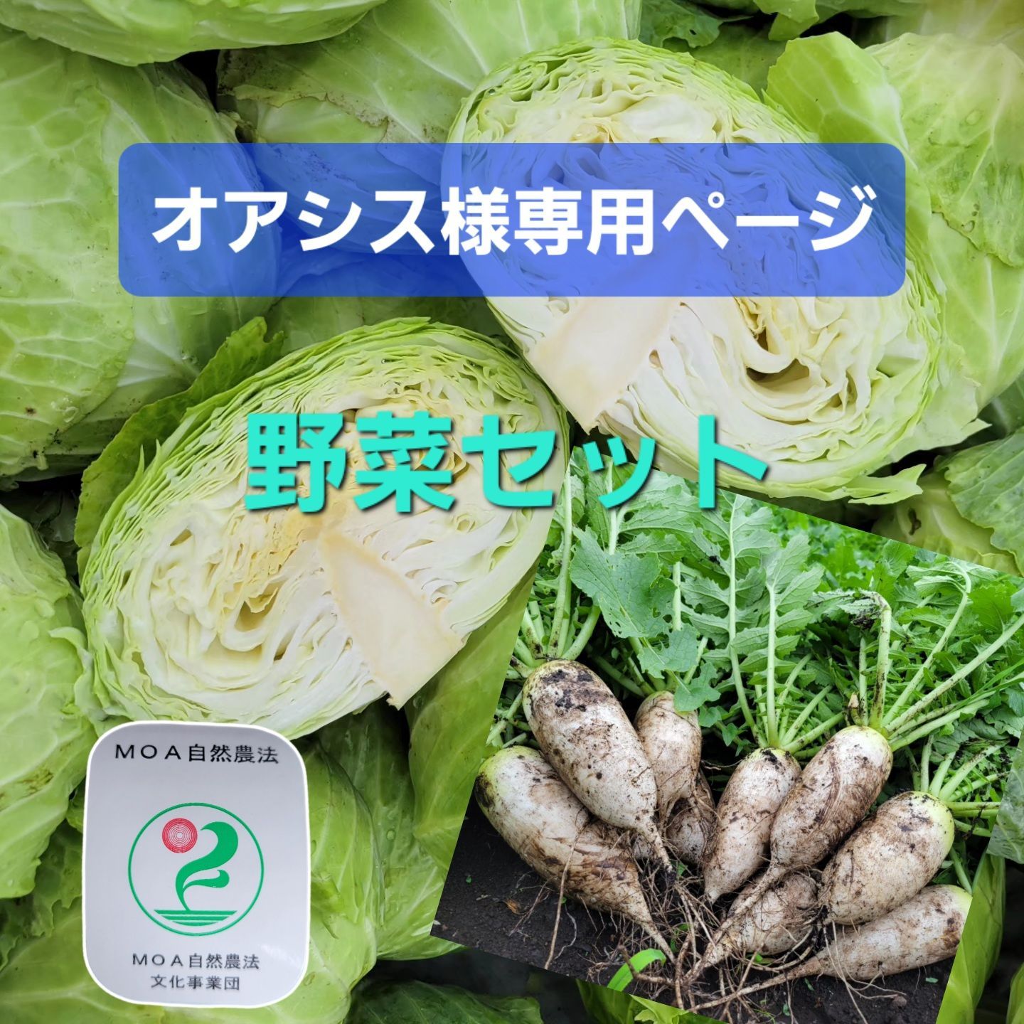 キャベツさま専用 キャベツ様 専用 キャベツさま専用 キャベツスライサーの通販なら