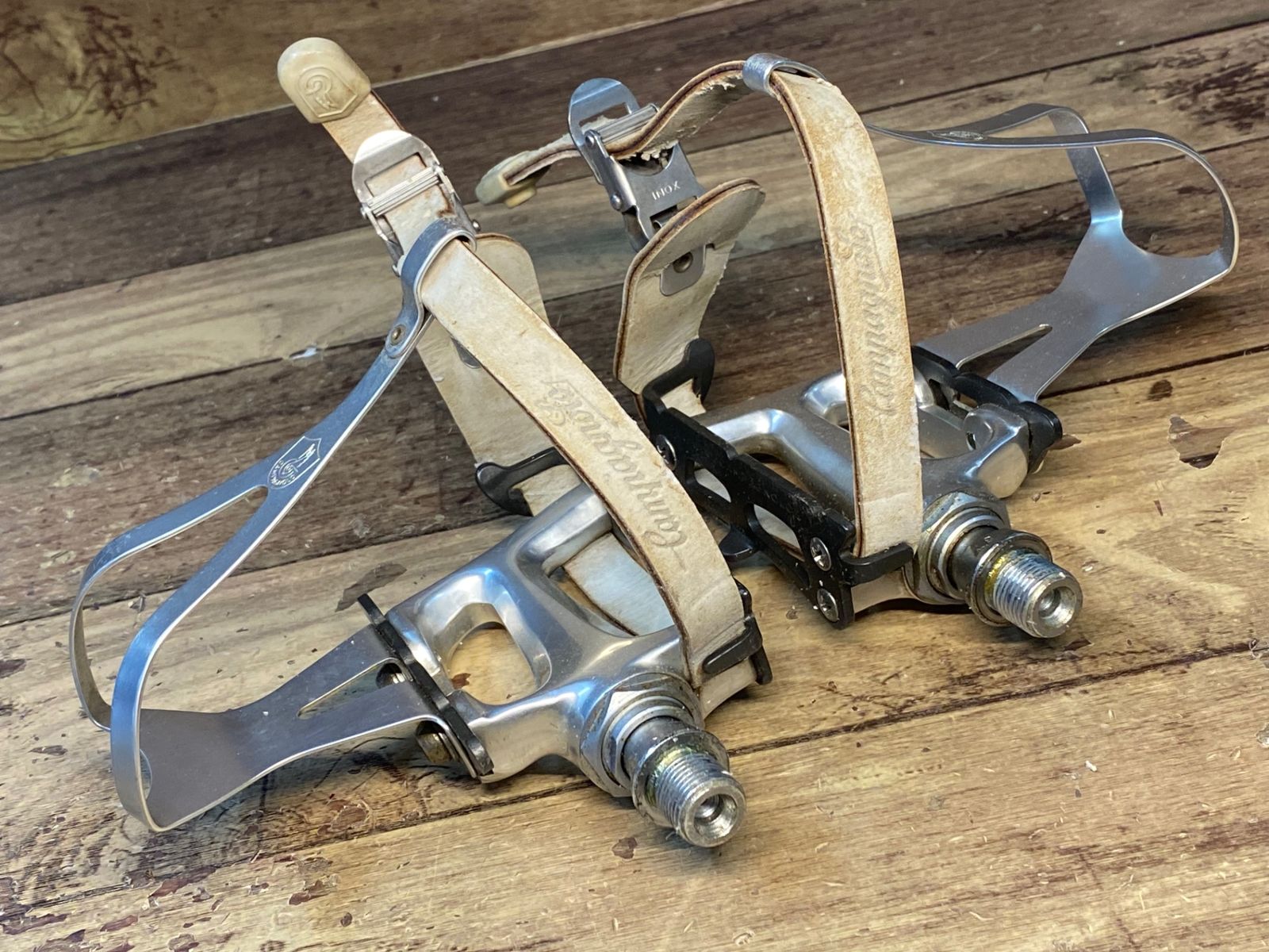 CAMPAGNOLO