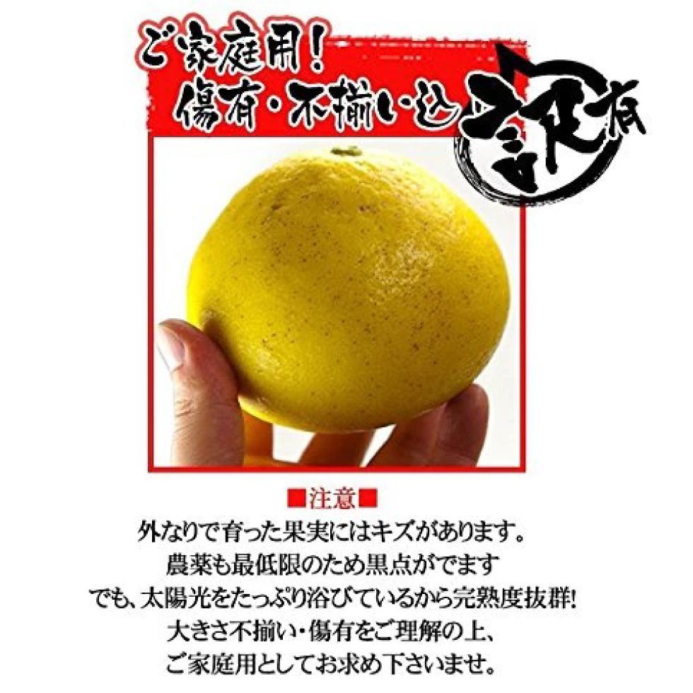 のサムネイル