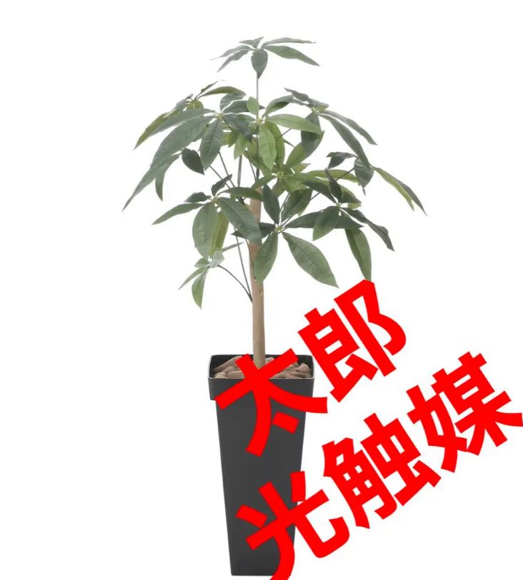 光触媒 人工観葉植物 ウォールグリーン フェイクグリーン スリムパキラ1.0ajg