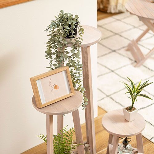 ブラウン GUY-922WH