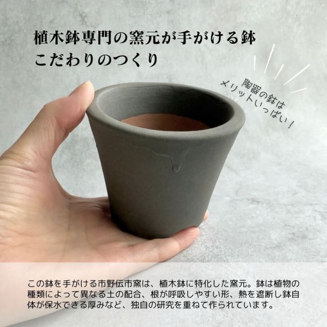 室内 屋外