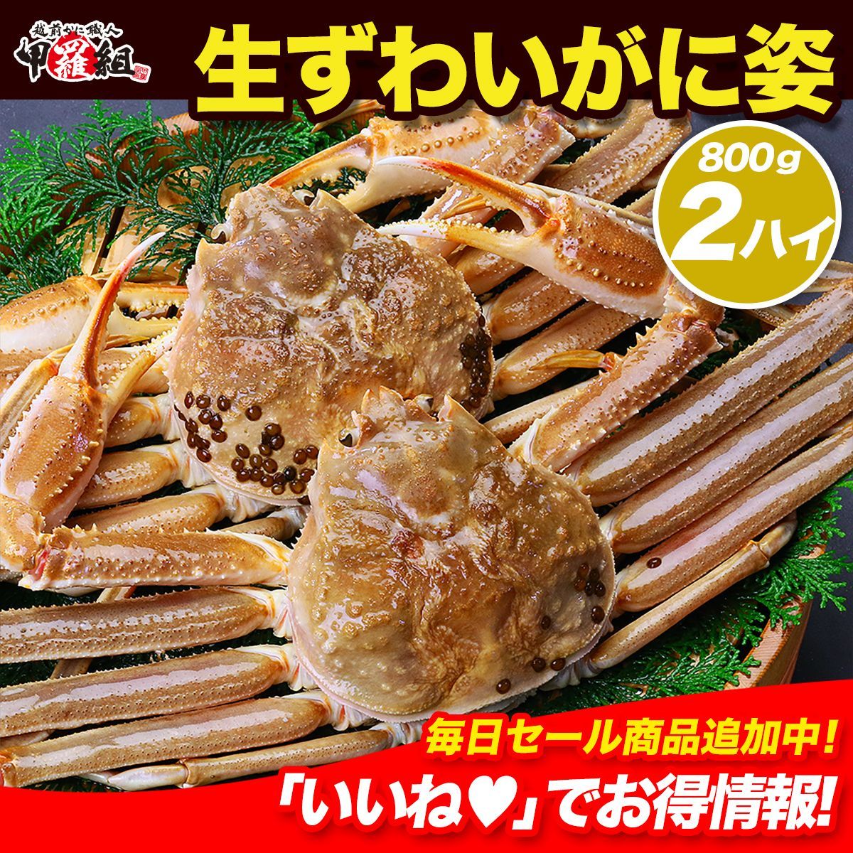 ? な特大サイズ 生ずわいがに 姿? 800g前後×2尾入り 冬ギフト ズワイガニ かに カニ 蟹 甲羅組