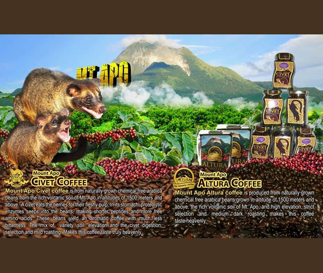 ジャコウネココーヒー 100g粉  「カペ・アラミド」世界最高級品-4