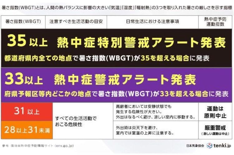 黒球式熱中症指数計 熱中アラーム