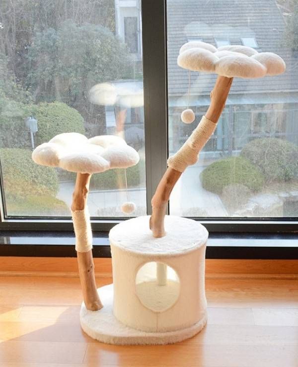 おしゃれ