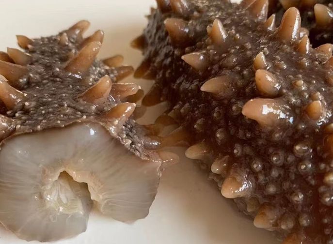 【北海道産】乾燥 黒ナマコB品 Lサイズ500g 不揃い キンコ 黒なまこ 北海道産B級品 乾燥なまこ なまこ ナマコ 500g入り Lサイズ 11g以上