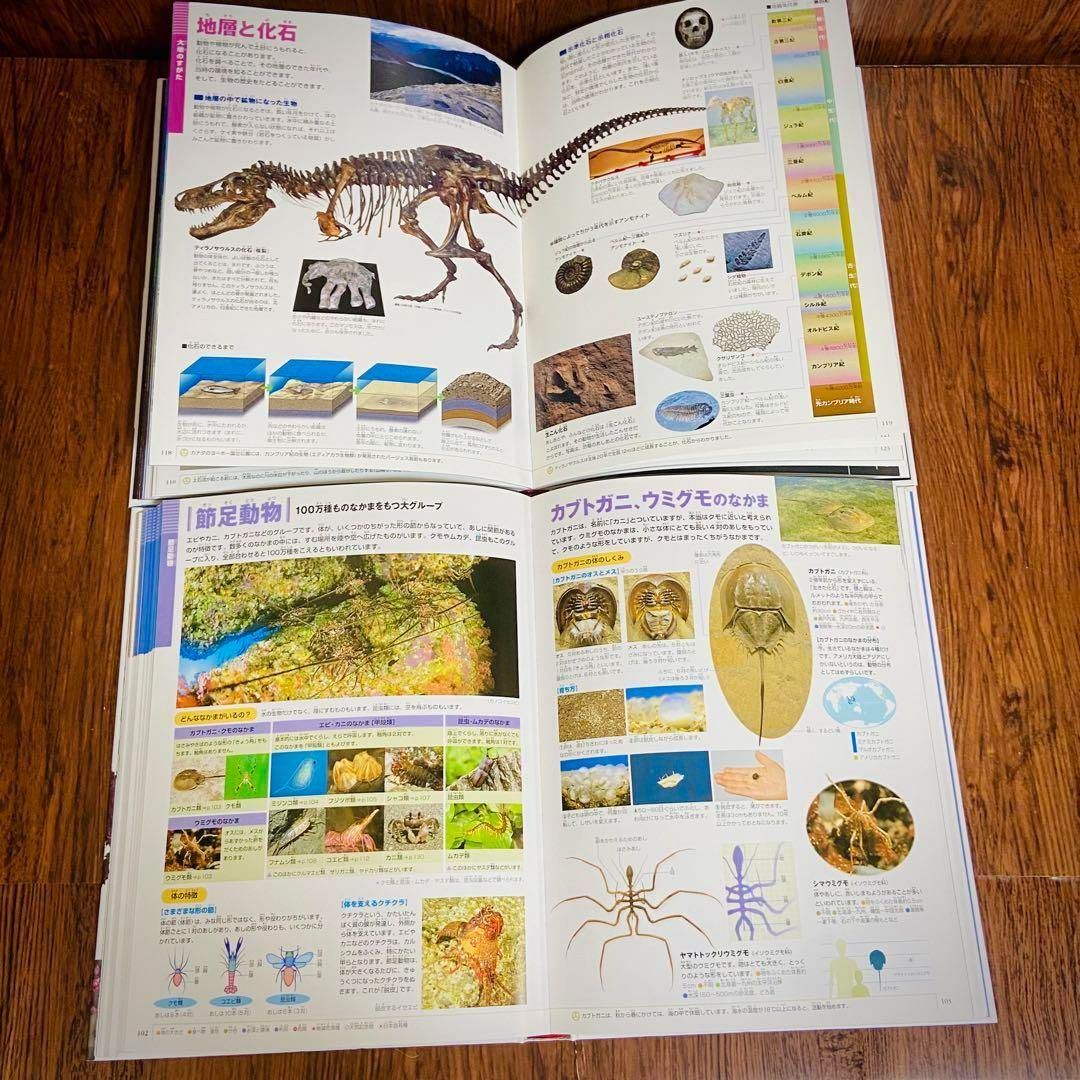 Z1【16冊】小学館の図鑑NEO 危険生物 恐竜 宇宙 絵本 セット