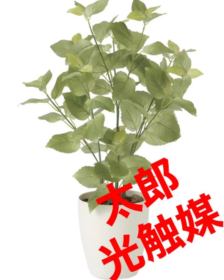 光触媒 人工観葉植物 ウォールグリーン フェイクグリーン ペリーラ70@g
