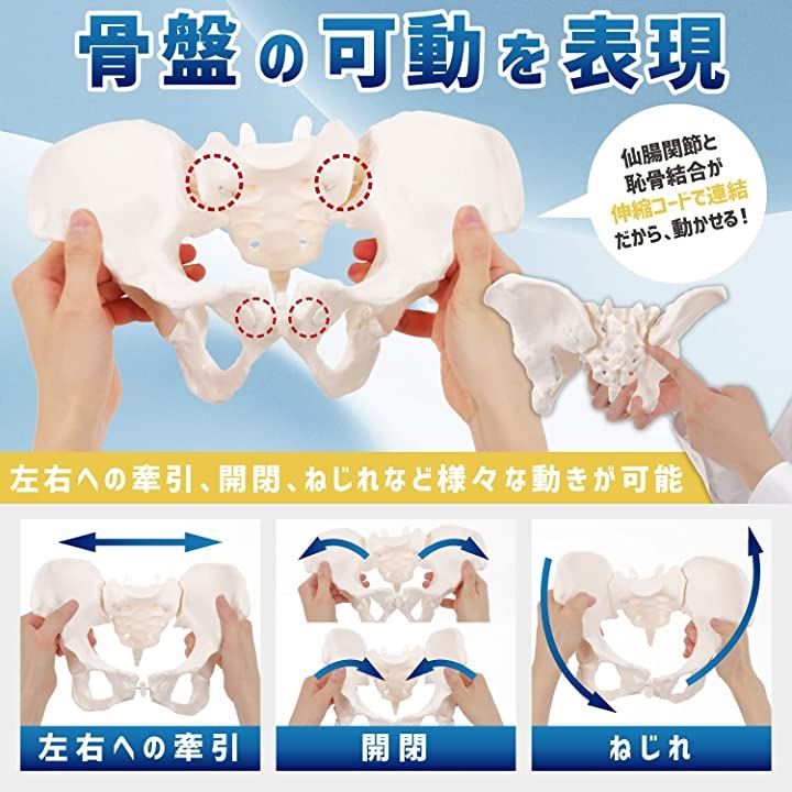 可動性