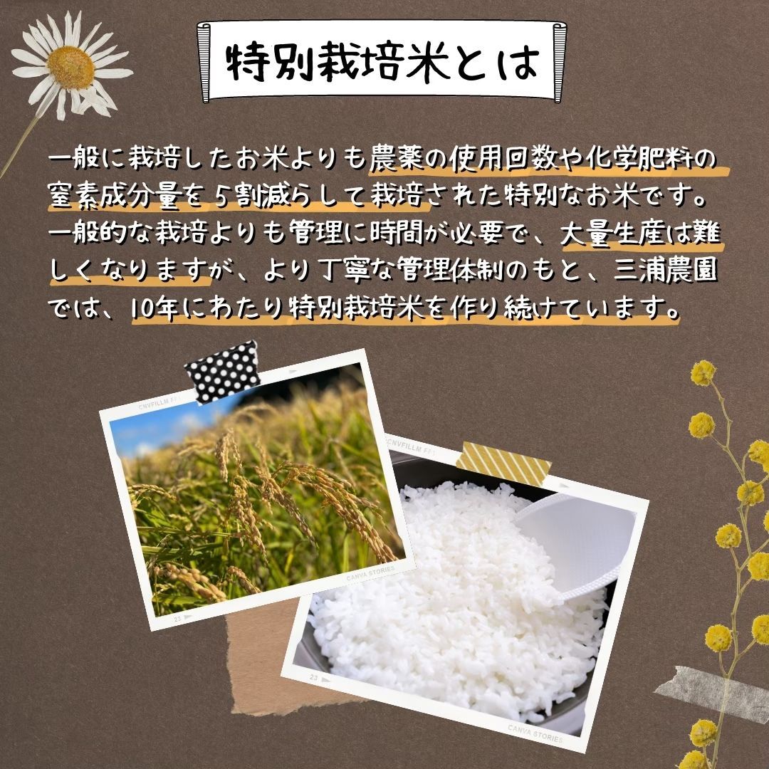 【令和6年・減農薬・特別栽培米】ななつぼし 10kg 北海道 蘭越産