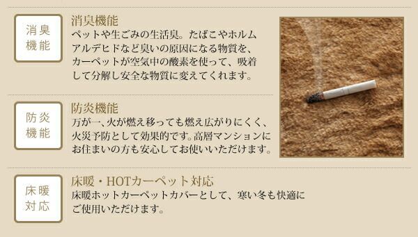 防炎 抗アレルギー機能付きフェイクファーラグ