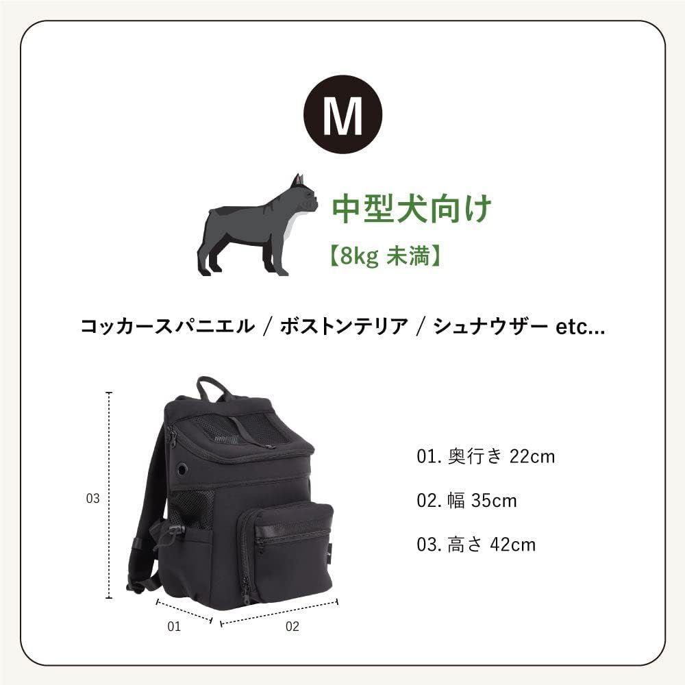 citydog|シティドッグ
