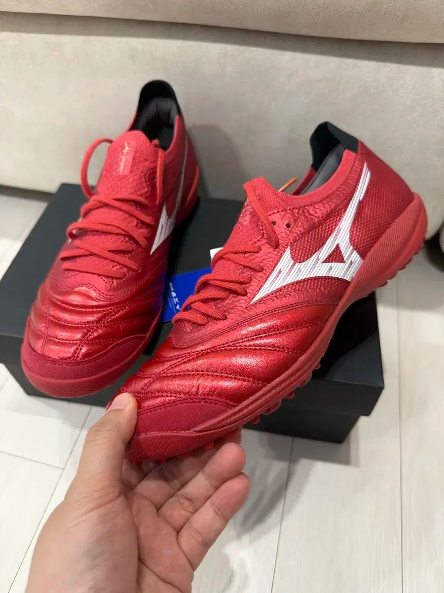 255 mizuno ミズノ サラベータ TF