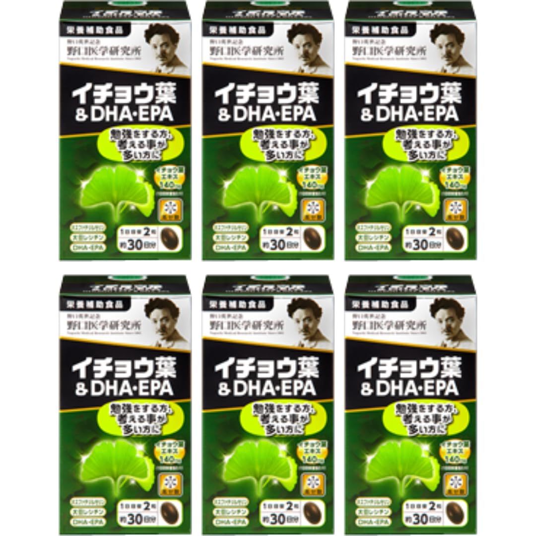 まとめ買い 6個セット イチョウ葉 ＆ DHA EPA 510mg×60粒 約30日分 栄養補助食品