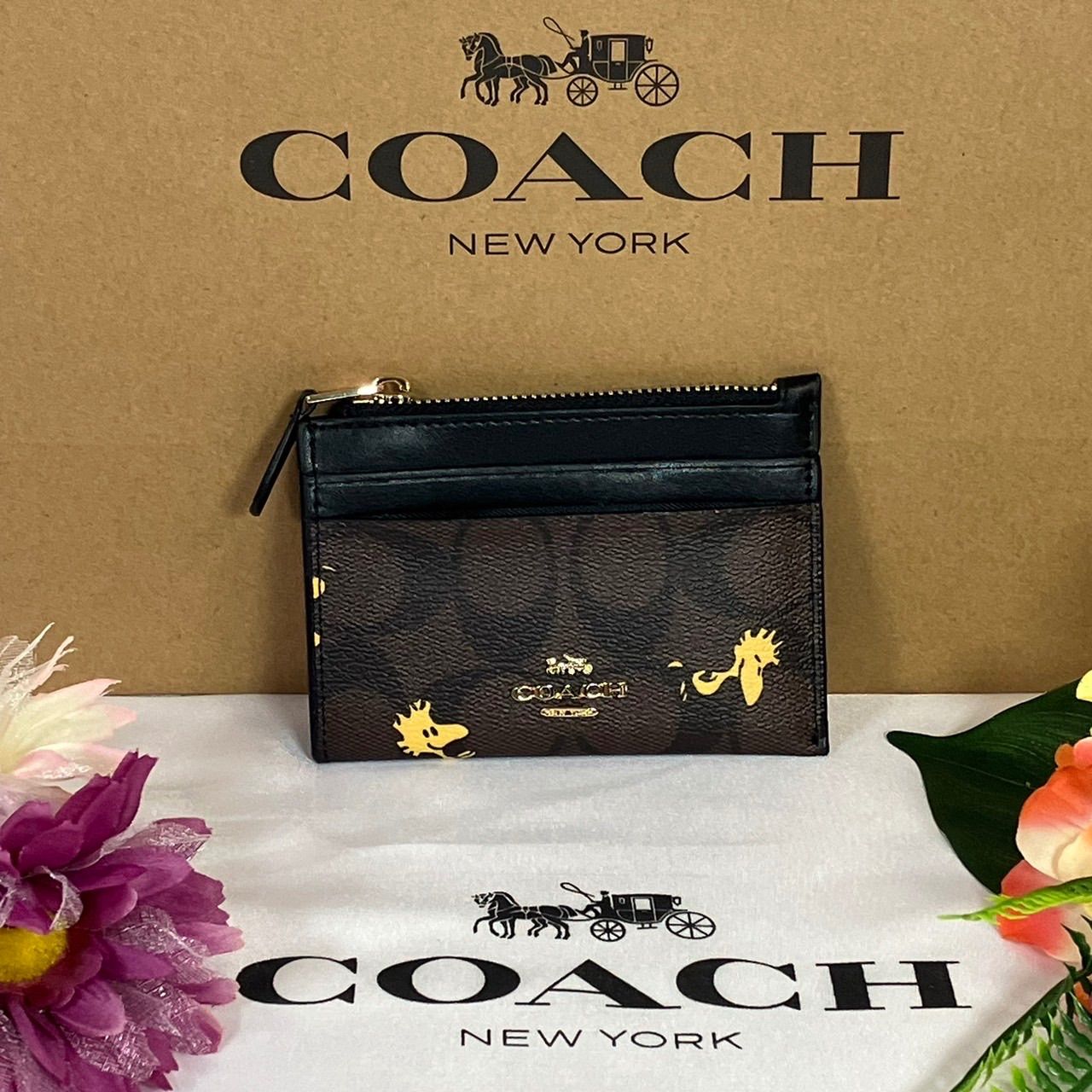 バッグ新品 未使用 coach コーチ パスケース スヌーピー ピーナッツ