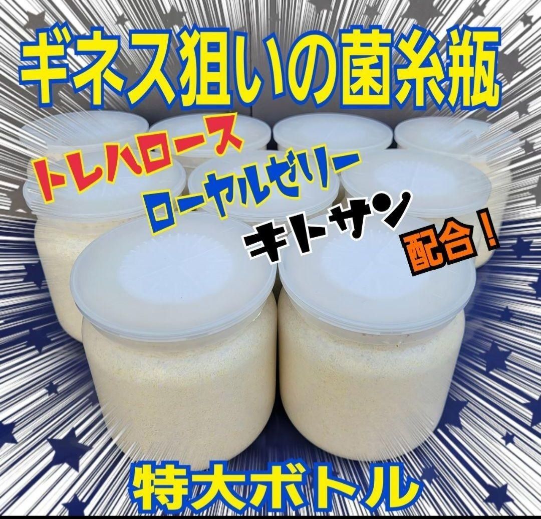 極上！オオヒラタケ菌糸瓶【6本】トレハロース、ローヤルゼリー強化配合！デカクなる 面倒い