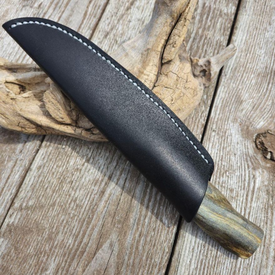 虹彩珊瑚のマキリ ペルシアンターコイズ