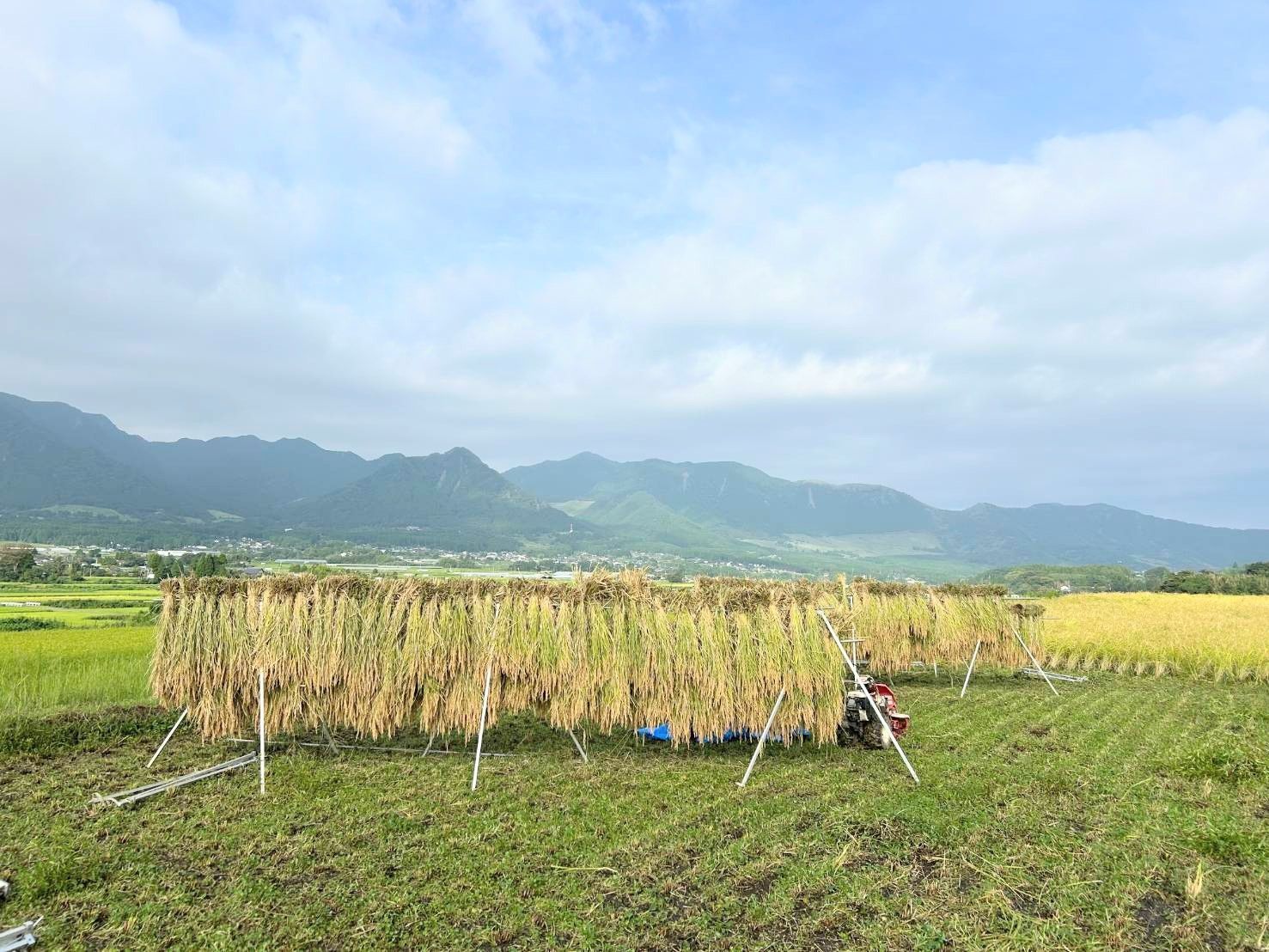 令和7年 自然栽培米
