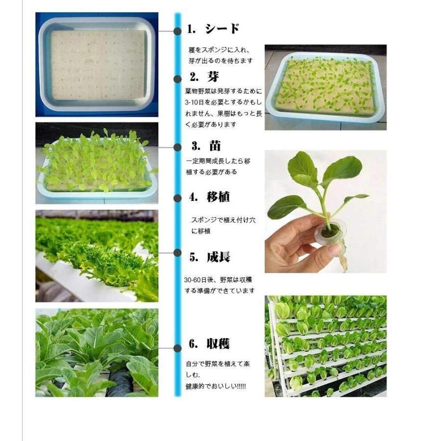 水耕栽培キット 水耕栽培