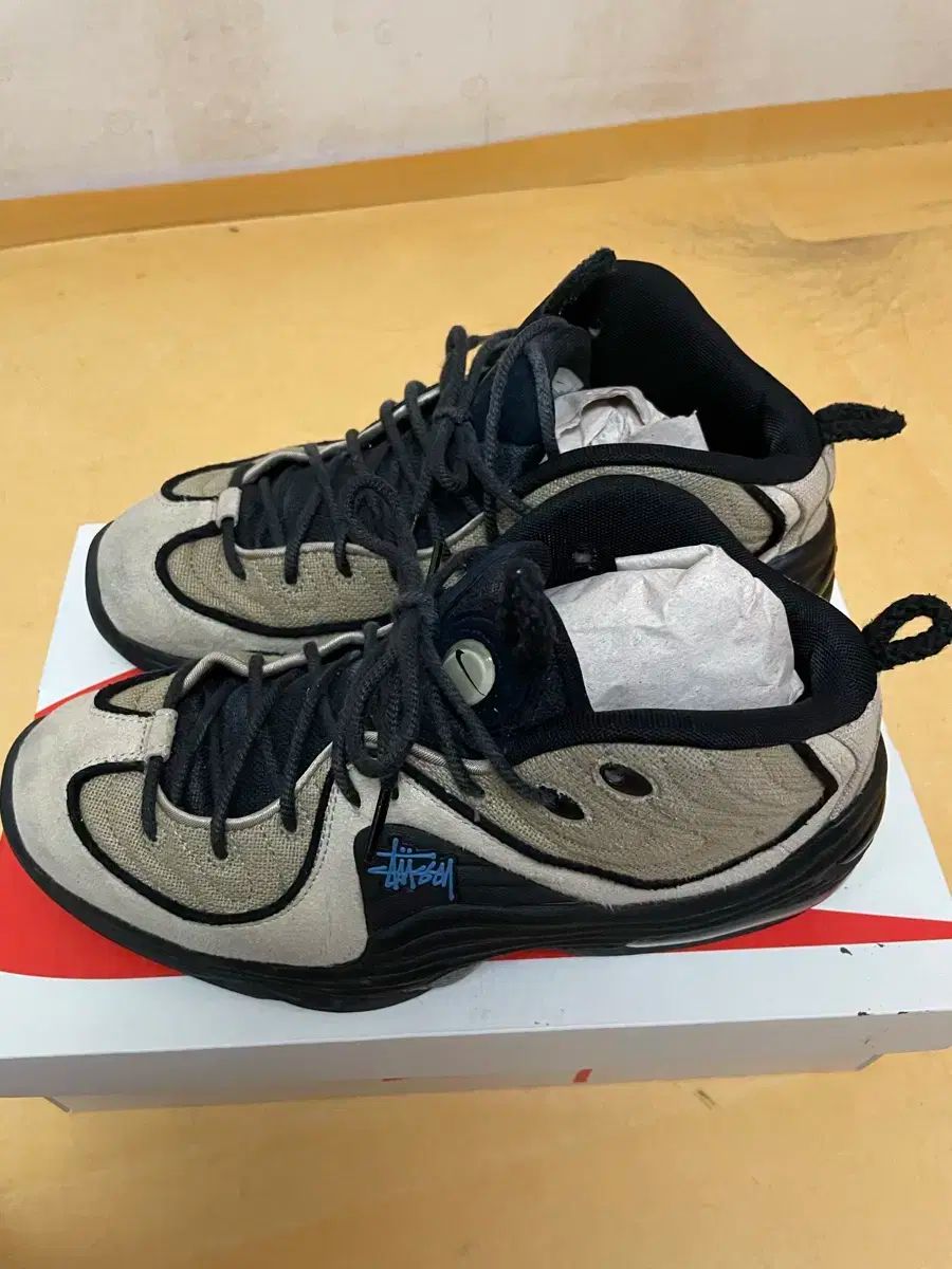 【雷市場（ポンジャン）商品韓国直送】 NIKE(ナイキ) STUSSY(ステューシー) エアペニー 2 270