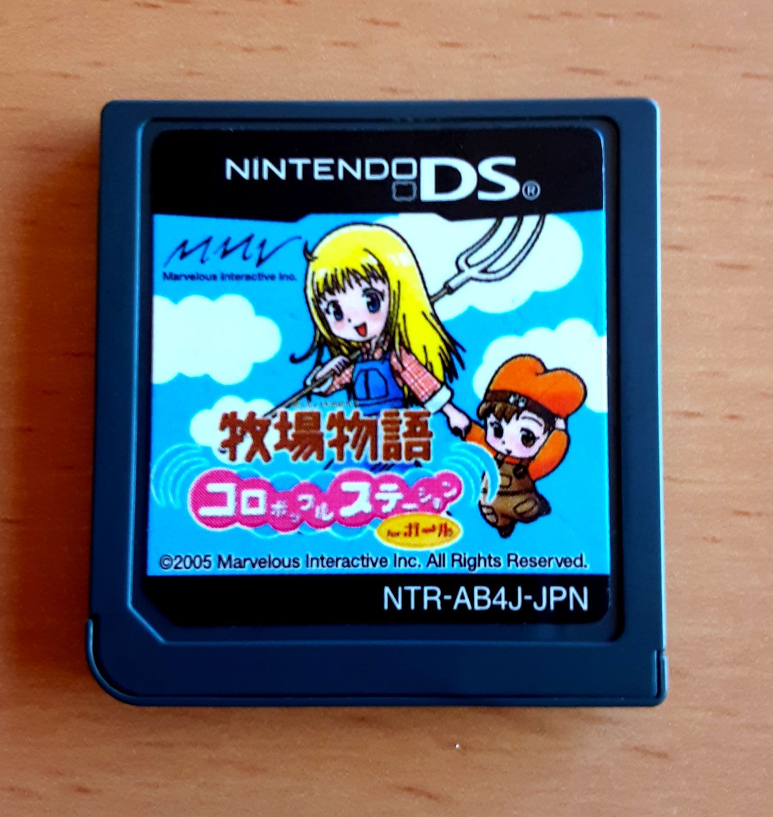 DS カセット - 携帯用ゲームソフト