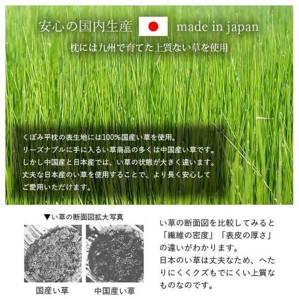 い草マット 約70×150cm グレー 枕付き 日本製 ボリューム マットレス 吸汗 調湿 消臭 抗菌防臭 お手入れ簡単 リビング ごろ寝【代引不可】 い草マット 約70×150cm 日本製 母の日ギフト 敬老の日 セット