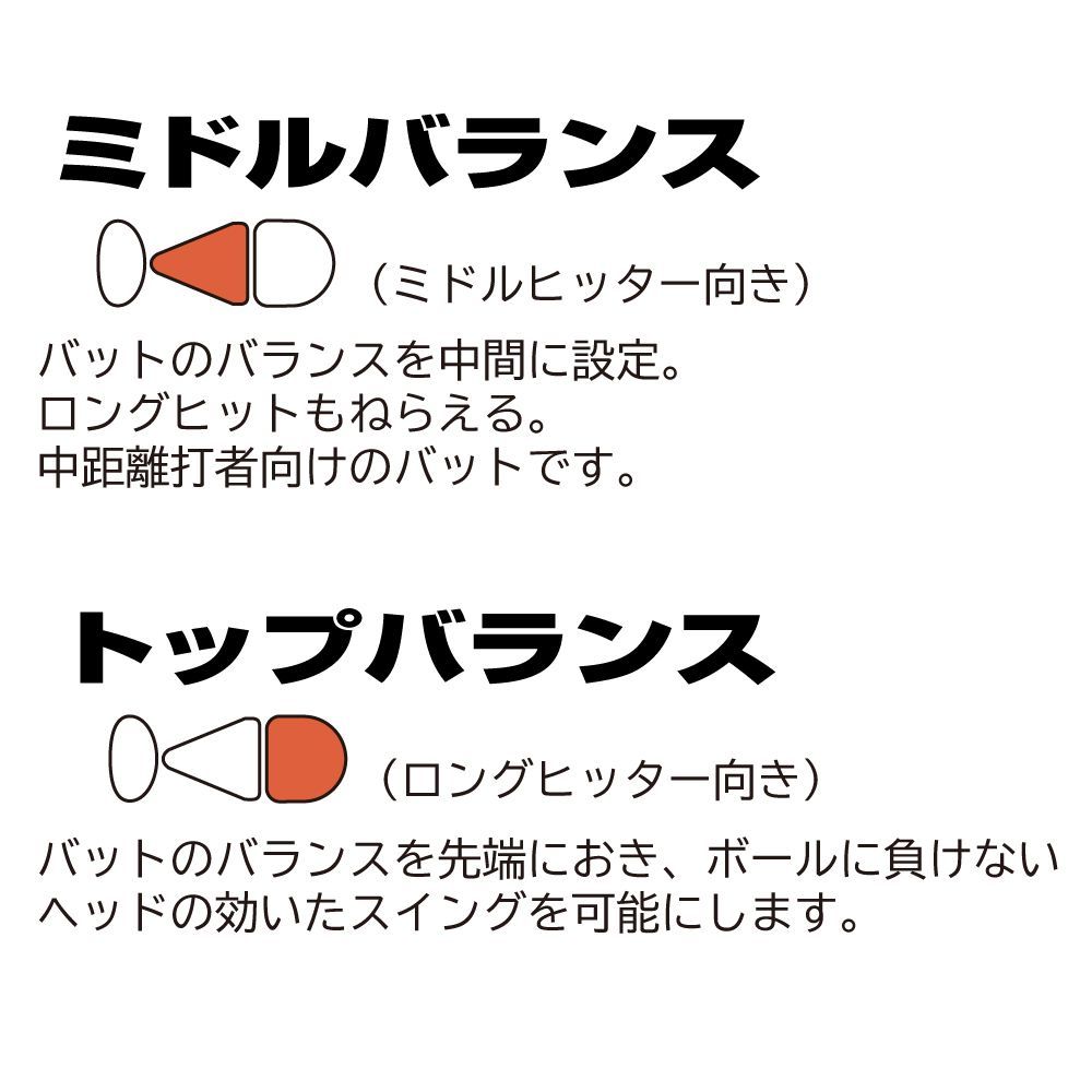 ビヨンドマックスEV2N