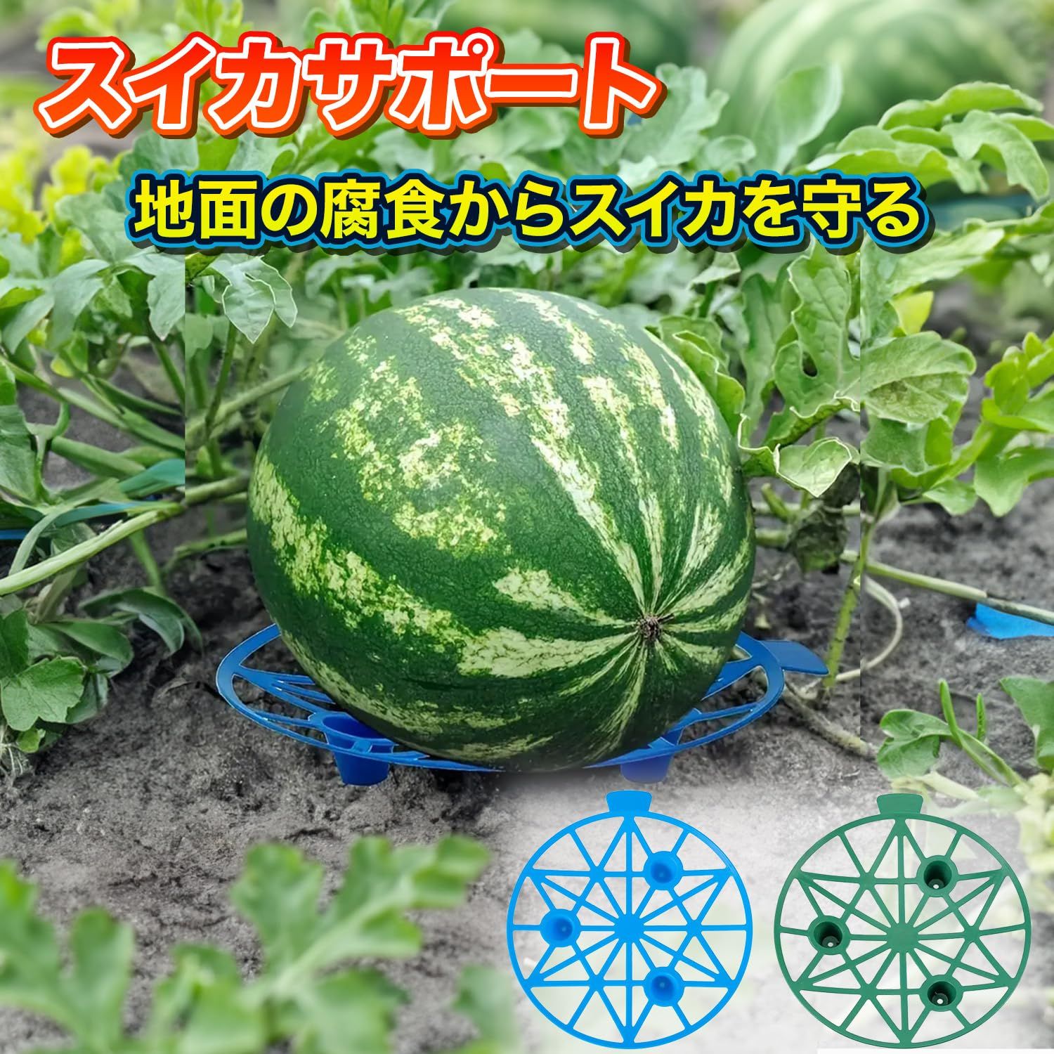虫害 変色防止