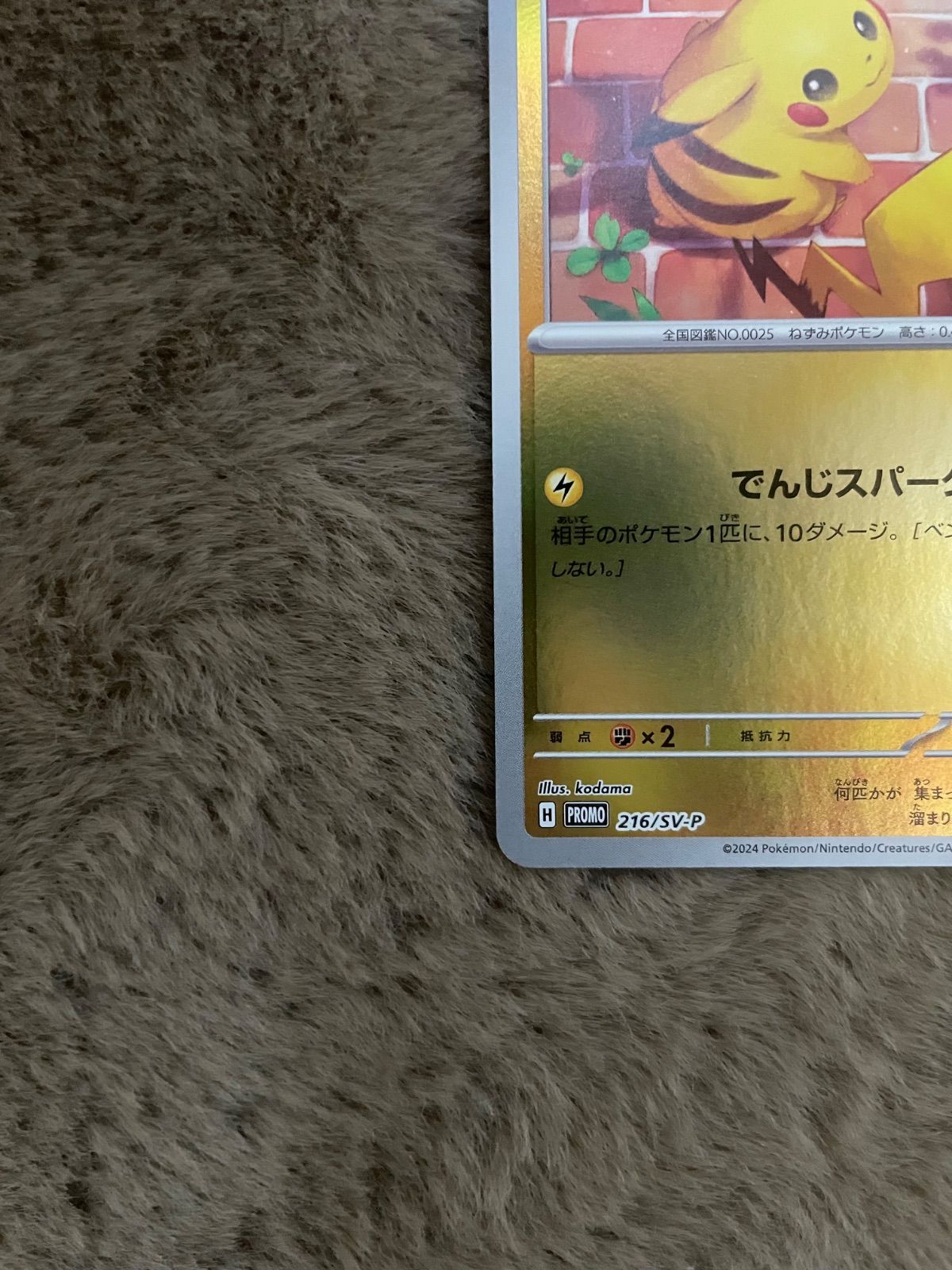 ピカチュウ ポケカの夏がキタ！プロモカードGetキャンペーン