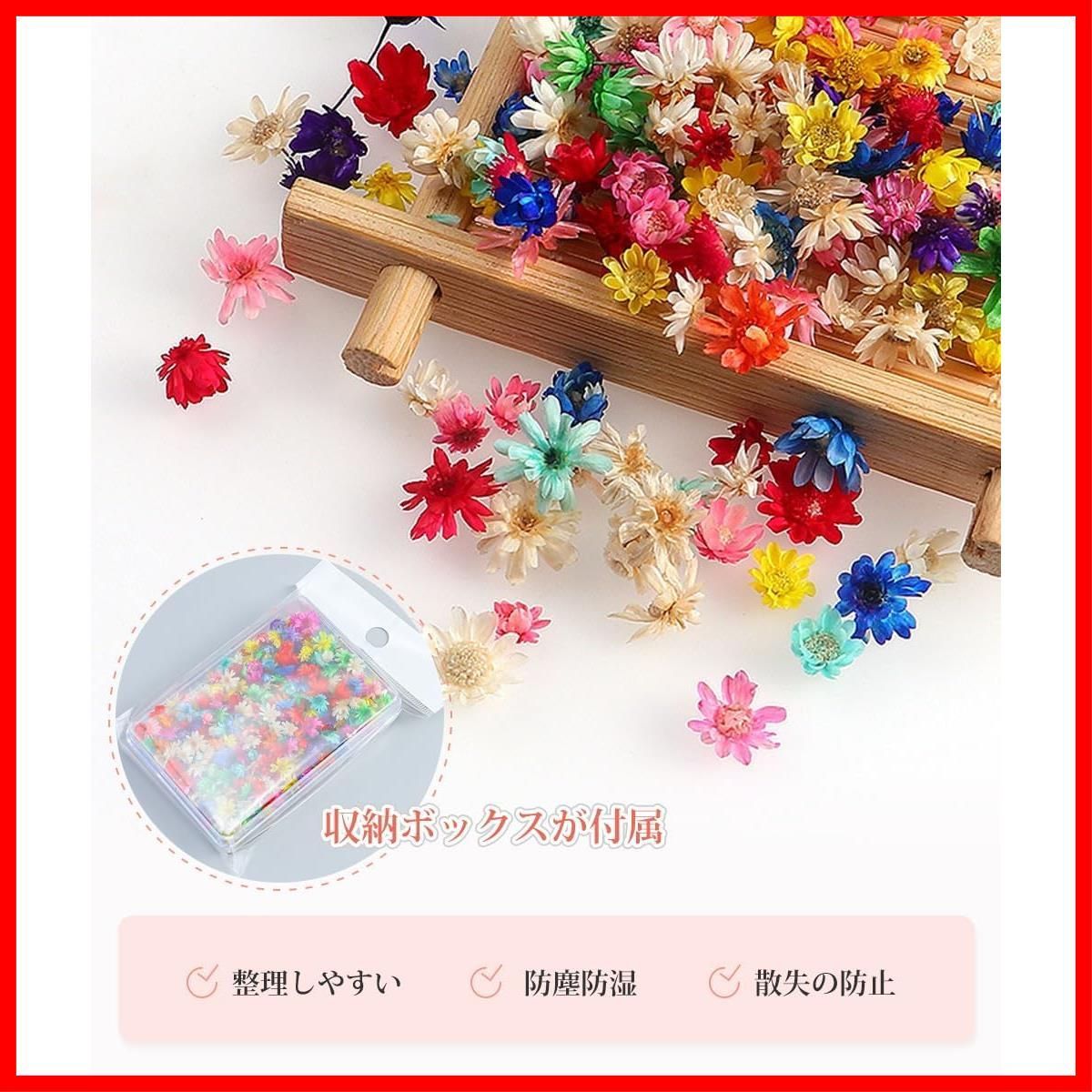 クラフト 手芸 素材 DIY ペンダント ネイル おしゃれ 材 押し花 花